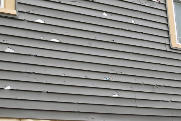 Trusted Houston, MS Junk Removal Experts