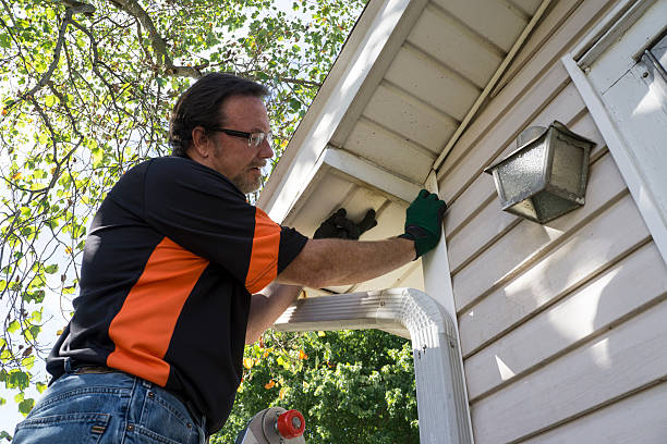 Best Same-Day Junk Removal Services  in Houston, MS